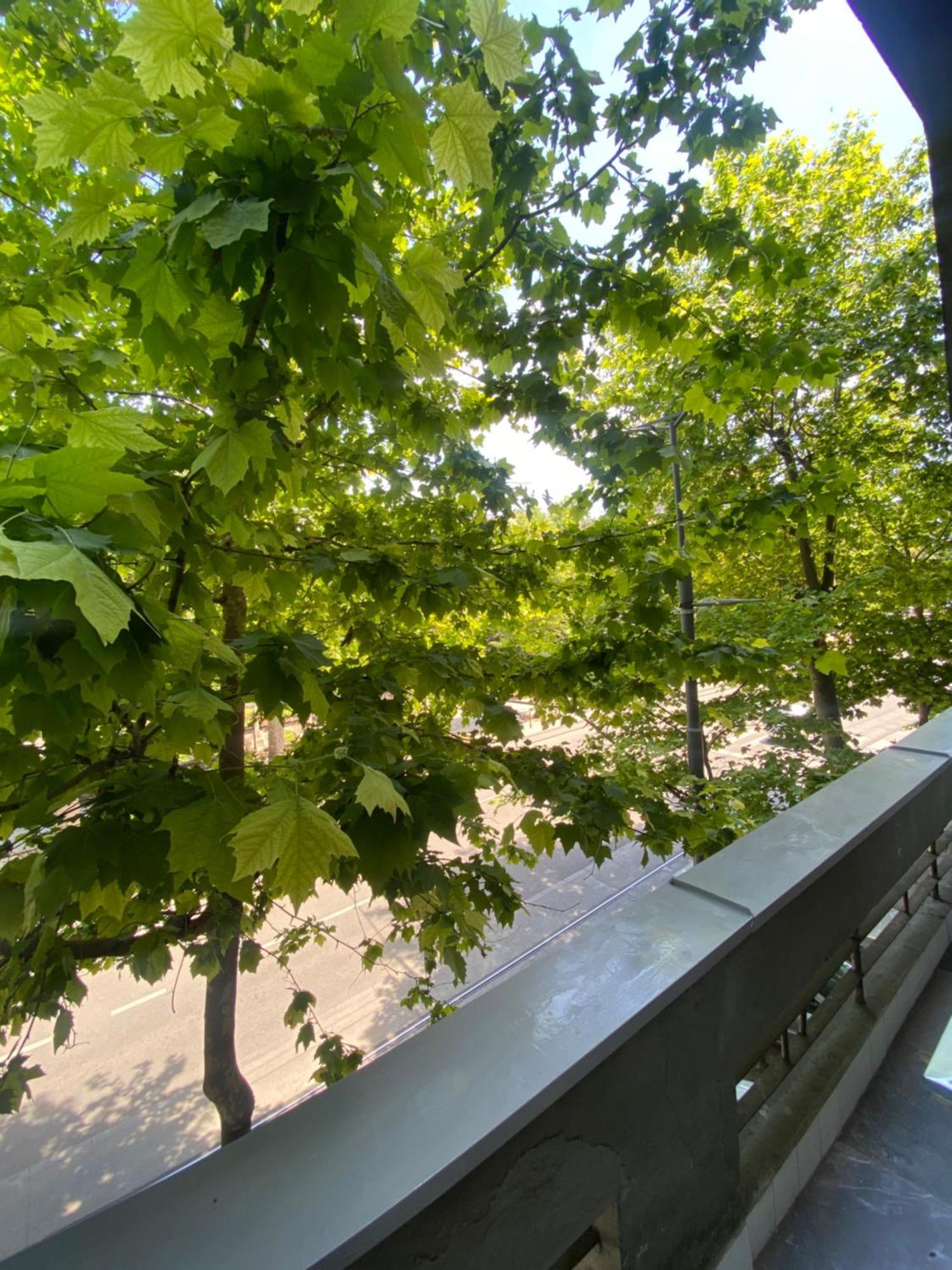 Apartament Washington Belgrad